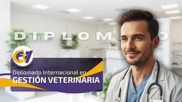 Diplomado Internacional en Gestión Veterinaria