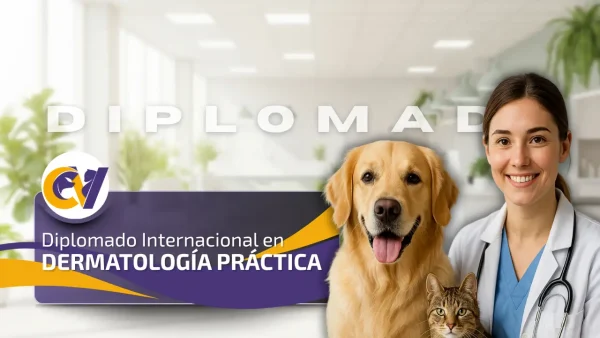Diplomado Internacional en Dermatología Práctica
