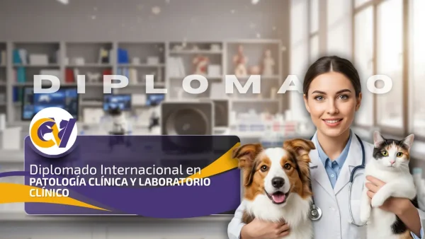 Diplomado Internacional en Patología Clínica y Laboratorio Clínico