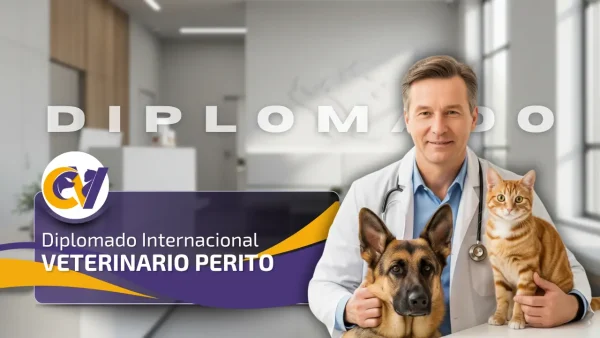 Diplomado Internacional Veterinario Perito
