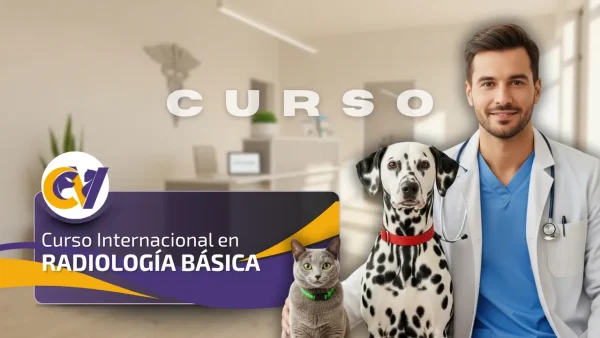 Curso Internacional en Radiología Básica