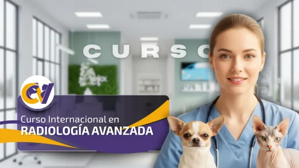 Curso Internacional en Radiología Avanzada
