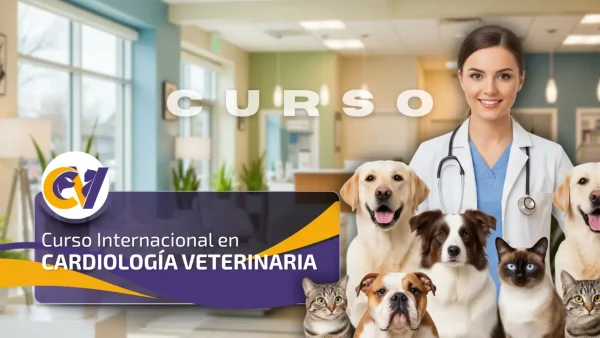 Curso Internacional en Cardiología Veterinaria
