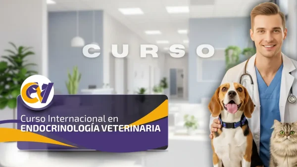 Curso Internacional de Endocrinología Veterinaria