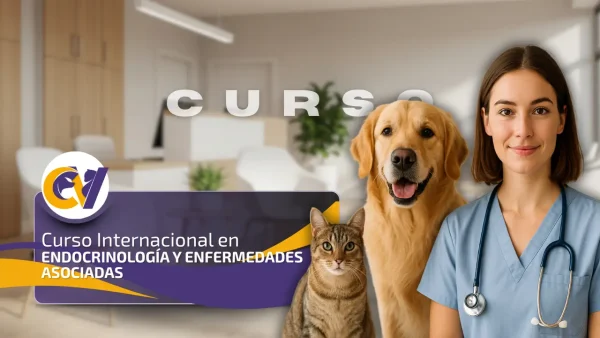 Curso Internacional de Endocrinología y Enfermedades Asociadas
