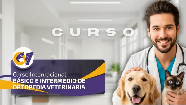 Curso Internacional Básico e Intermedio de Ortopedia Veterinaria