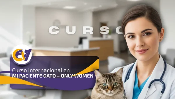 Curso Internacional Mi Paciente Gato – Only Women
